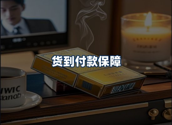 专业团队办公环境